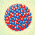 Physics - Calculations for complex nuclei