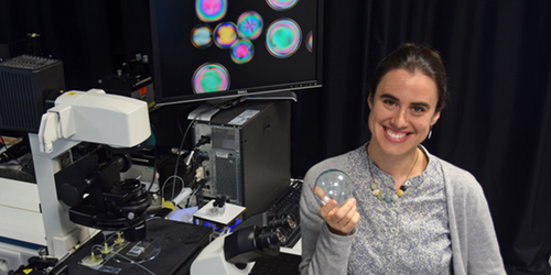 Physics - Q&A: A World of Experiments Inside a Liquid Crystal