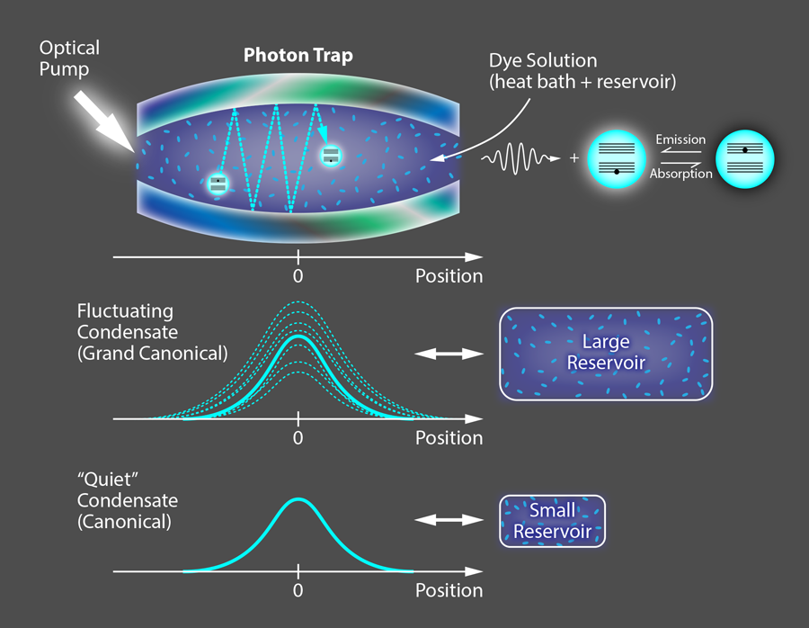forskellige ineffektiv Bliv såret Physics - Statistical flickers in a Bose-Einstein Condensate of Photons