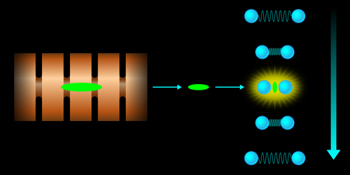 Physics - Viewpoint: Twisting and turning towards new multiferroics