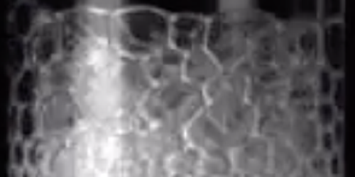 Understanding Frothing of Liquid Mixtures: A Surfactantlike Effect at ...