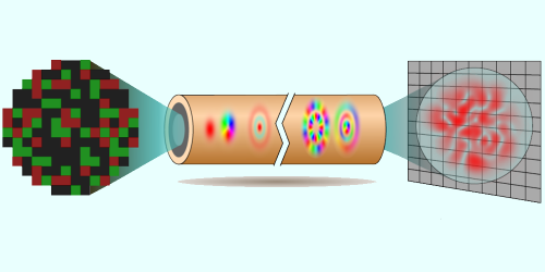 Learning and Avoiding Disorder in Multimode Fibers | Phys. Rev. X