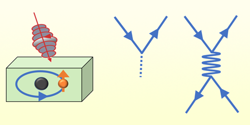 A Universal Model of Spin Relaxation