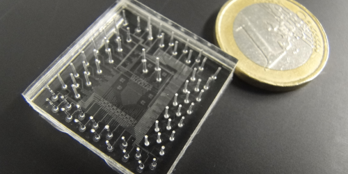Optical Sensor for a Pancreas-on-a-Chip
