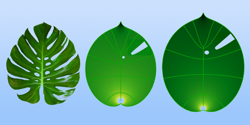 A Conformal Map Model for Leaf Growth