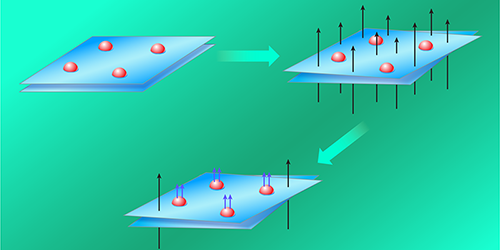 In a Twist, Composite Fermions Form and Flow without a Magnetic Field