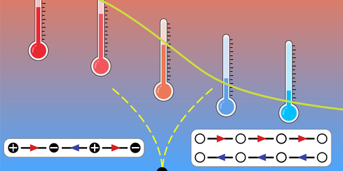 Watching a Quantum System Thermalize