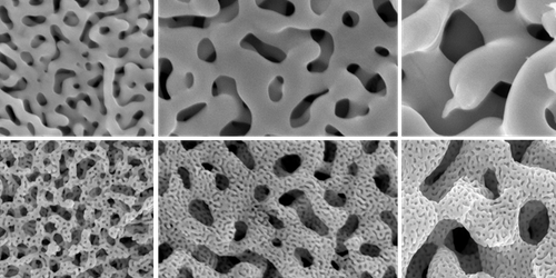 Tailoring the Sizes of Pores in Nanoporous Gold