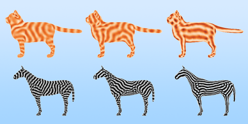 How a Zebra’s Stripes Align