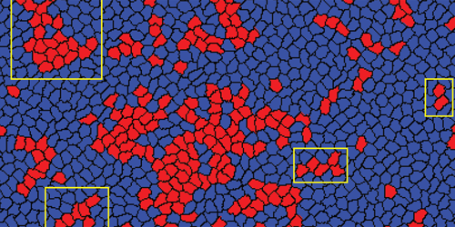 Alignment of Cells Affects Secondary Tumor Growth