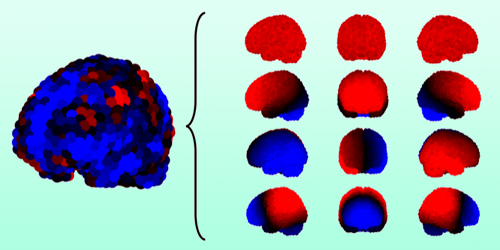 Assessing the Brain at a Range of Frequencies