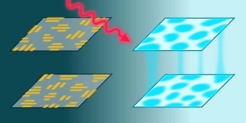 Making Waves in the Debate over Light-Induced Superconductivity