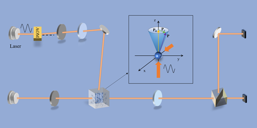 “Fictitious” Magnetic Fields for Atomic Magnetometers