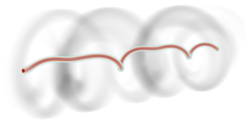 The Turbulent Life of a Vortex Line