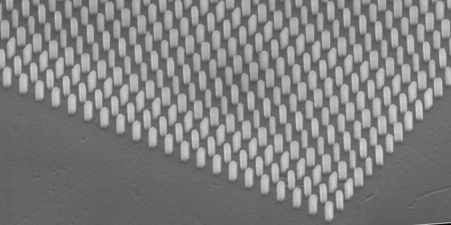 Metasurface Entangles and Distributes Photons