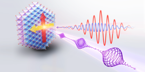 Tuning Light Polarization with Quantum Geometry
