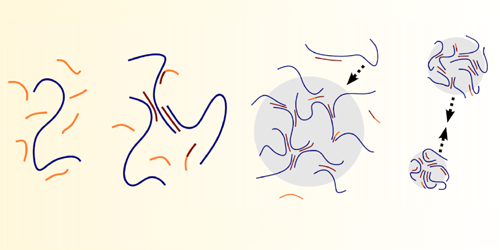 Enzymes Strongly Affect Sequestered Biomolecules