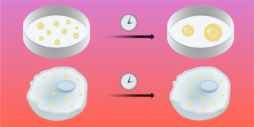 Why Nanoscale Droplets Don’t Coalesce