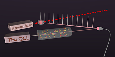 Frequency-Comb-Assisted Terahertz Quantum Cascade Laser Spectroscopy ...