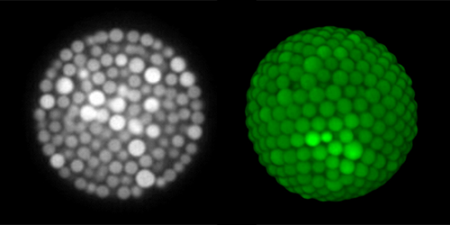 Structures and Dynamics of Glass-Forming Colloidal Liquids under ...