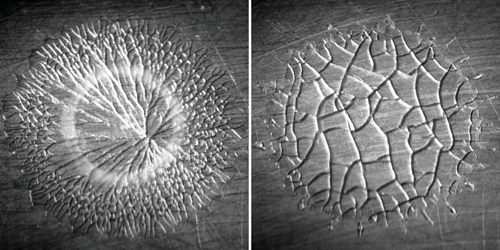 Frozen Impacted Drop: From Fragmentation to Hierarchical Crack Patterns ...