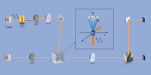 Physics - “Fictitious” Magnetic Fields for Atomic Magnetometers