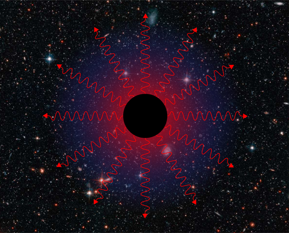 Physics - Black Holes Have Soft Quantum Hair