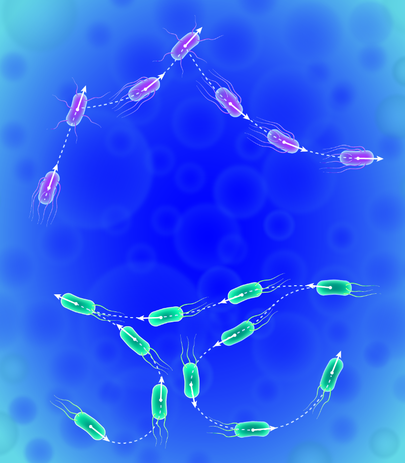 Figure caption
