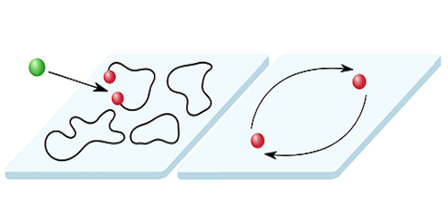 Physics - How to Spot Anyons