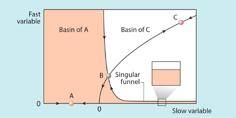 Figure caption