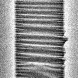 Physics - A Hierarchy Of Wrinkles