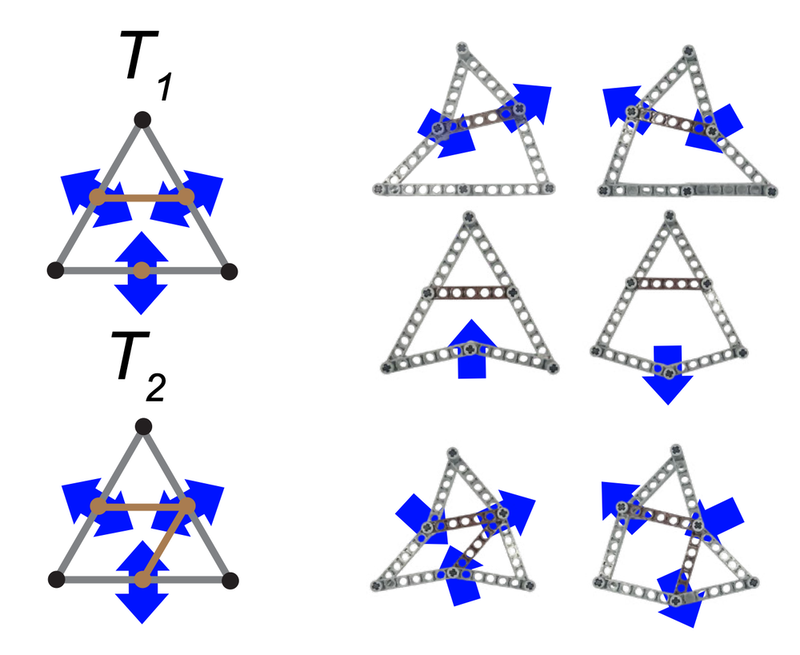 Figure caption