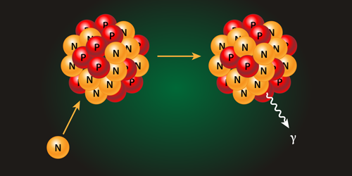 physics-neutron-capture-constraints