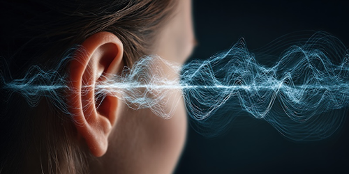 Physics - How Hair Cells in the Ear Actively Respond to Sound