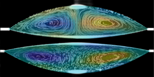 Physics - Gravity-Driven Flows in Two-Fluid Drops