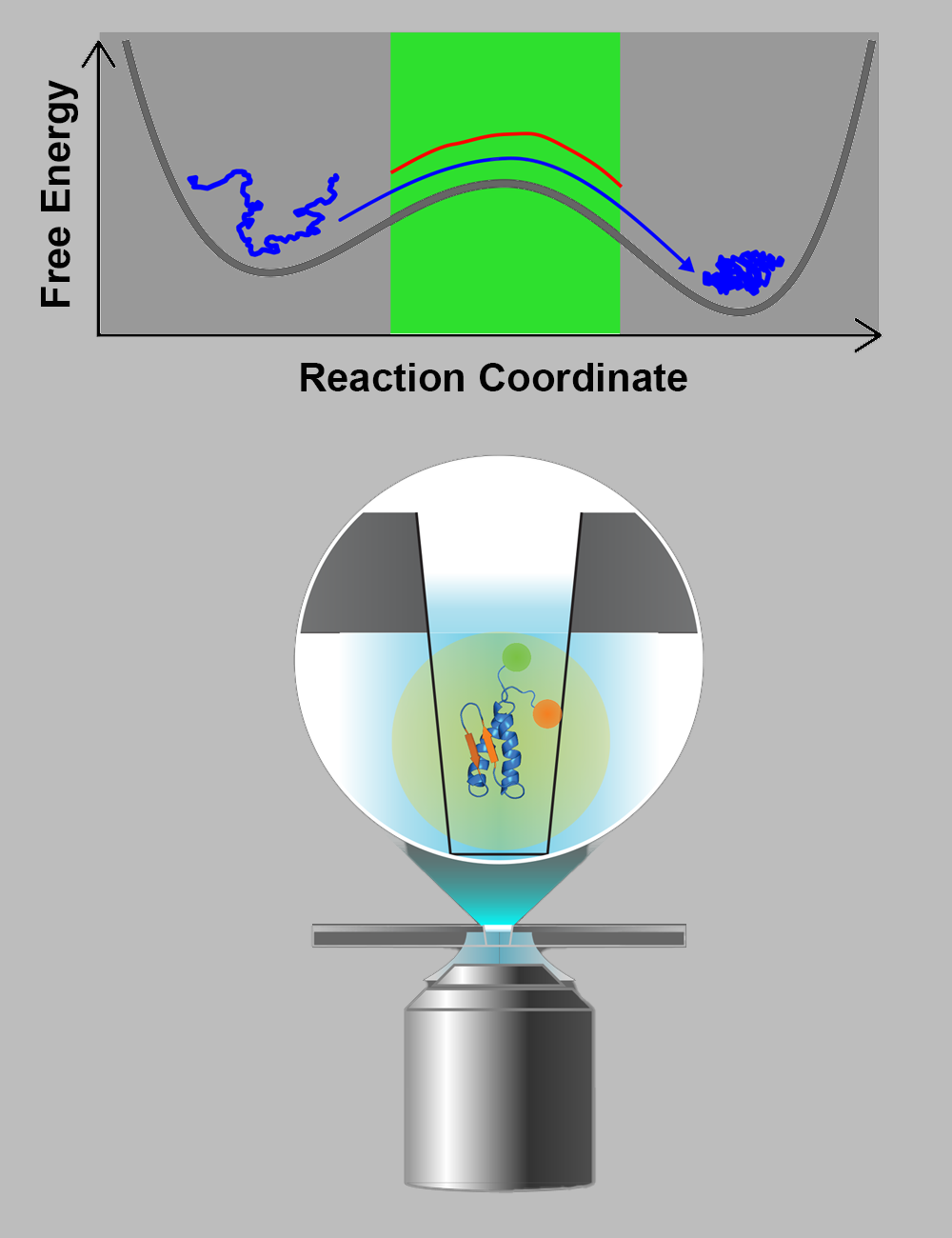 Figure caption