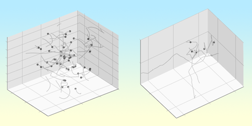 Physics - What Network Structures Reveal About the Birds and the Bees