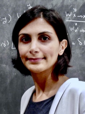 Image of Armita Nourmohammad