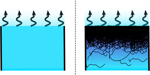 Physics - Why Humidity Doesn’t Affect Drying Paint