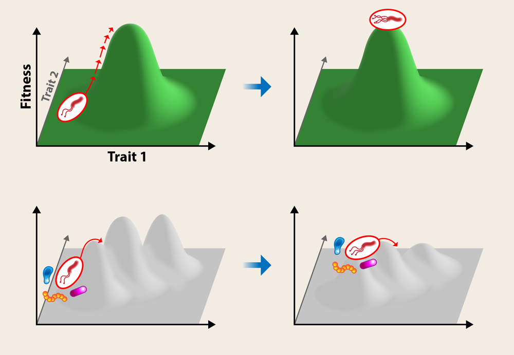 Figure caption