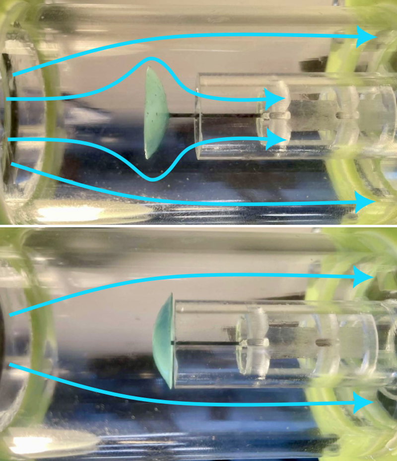 Figure caption