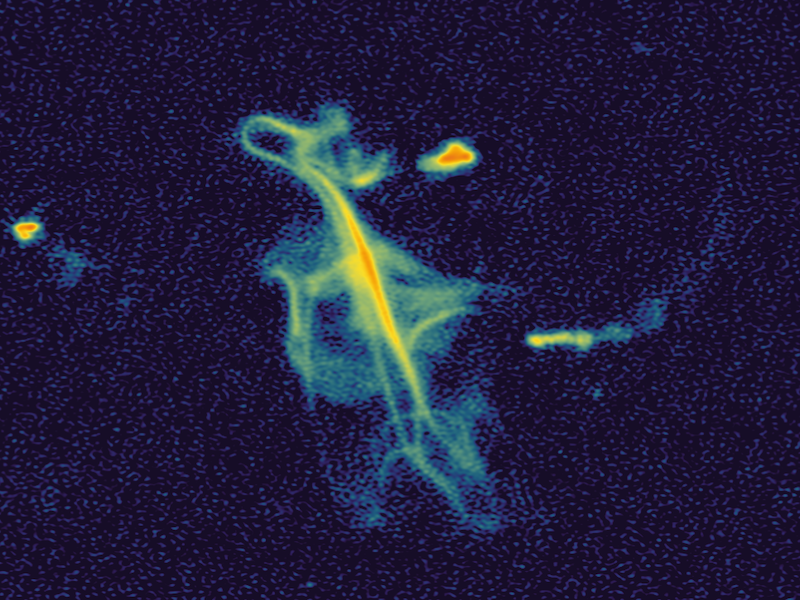 Figure caption